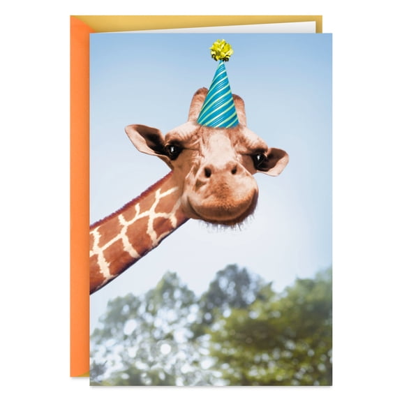 Hallmark Funny Birthday Card (You Bet Your Giraffe)