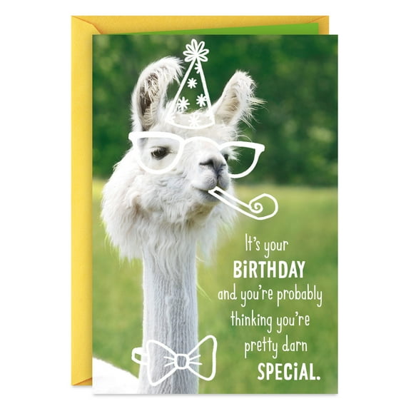 Hallmark Funny Birthday Card (Llama Birthday Hat)