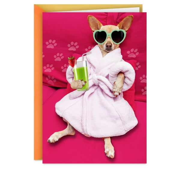 Hallmark Greeting Card BD SPA DOG