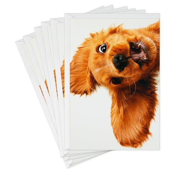 Hallmark Funny Birthday Greeting Card (Brown Puppy Dog)