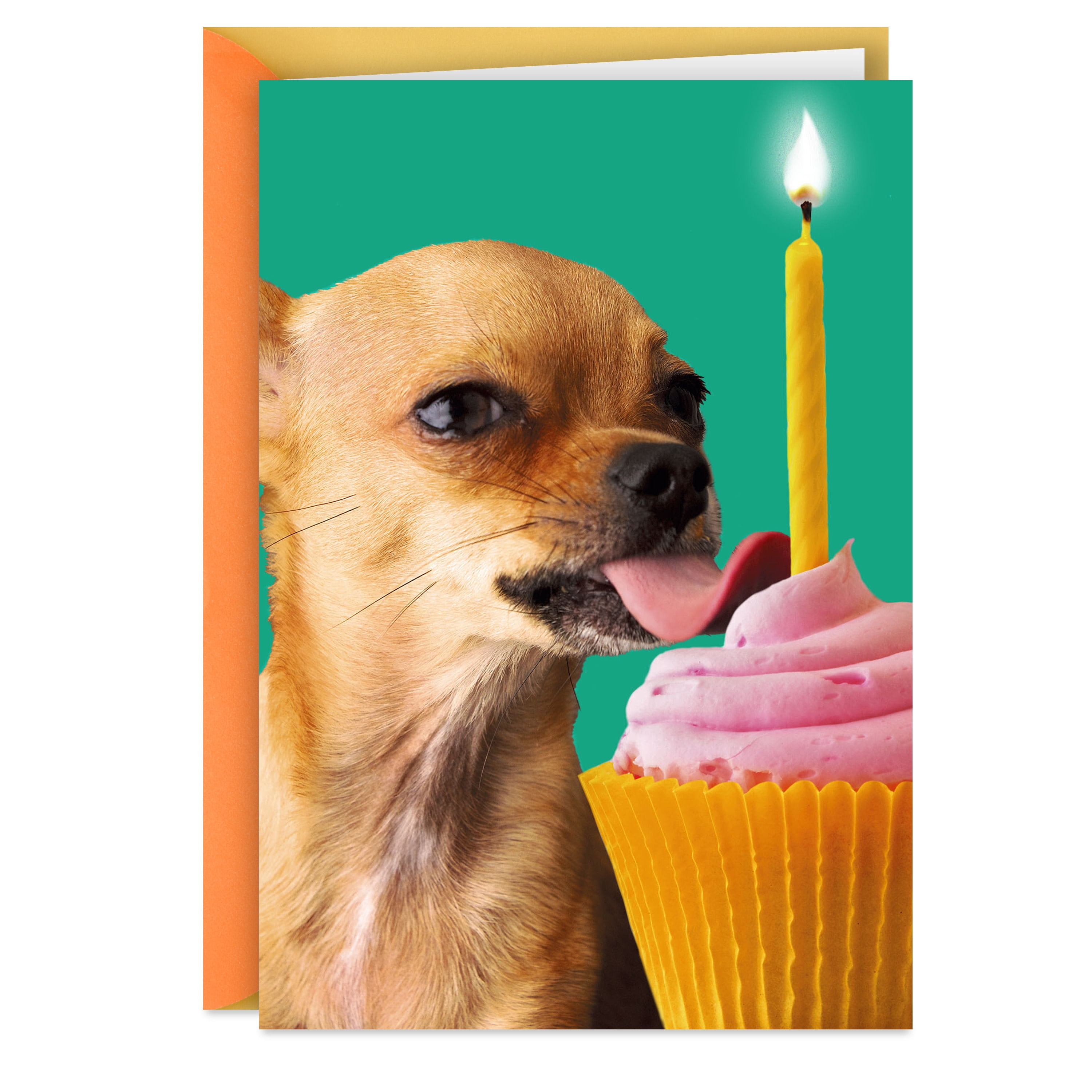 Hallmark Greeting Card BD DOG W- CUPCK Walmart Business Supplies