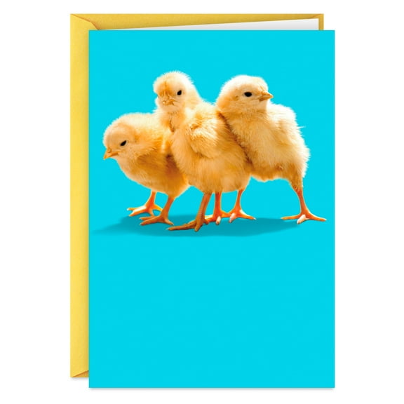 Hallmark Funny Easter Card (Someone I Can Lean On)