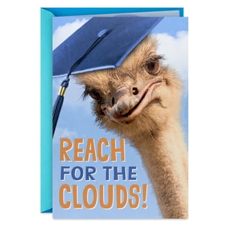 Advice The Graduation Cards
