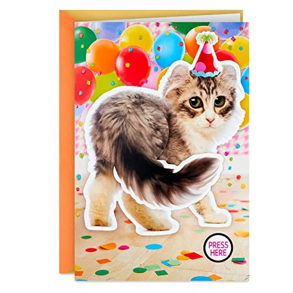 Hallmark Funny Musical Birthday Card (Kitten, Plays Watch Me [Whip/Nae