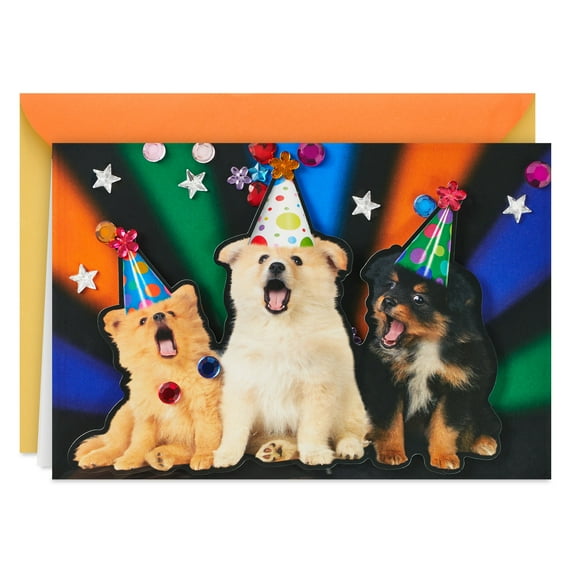 Hallmark Birthday Card