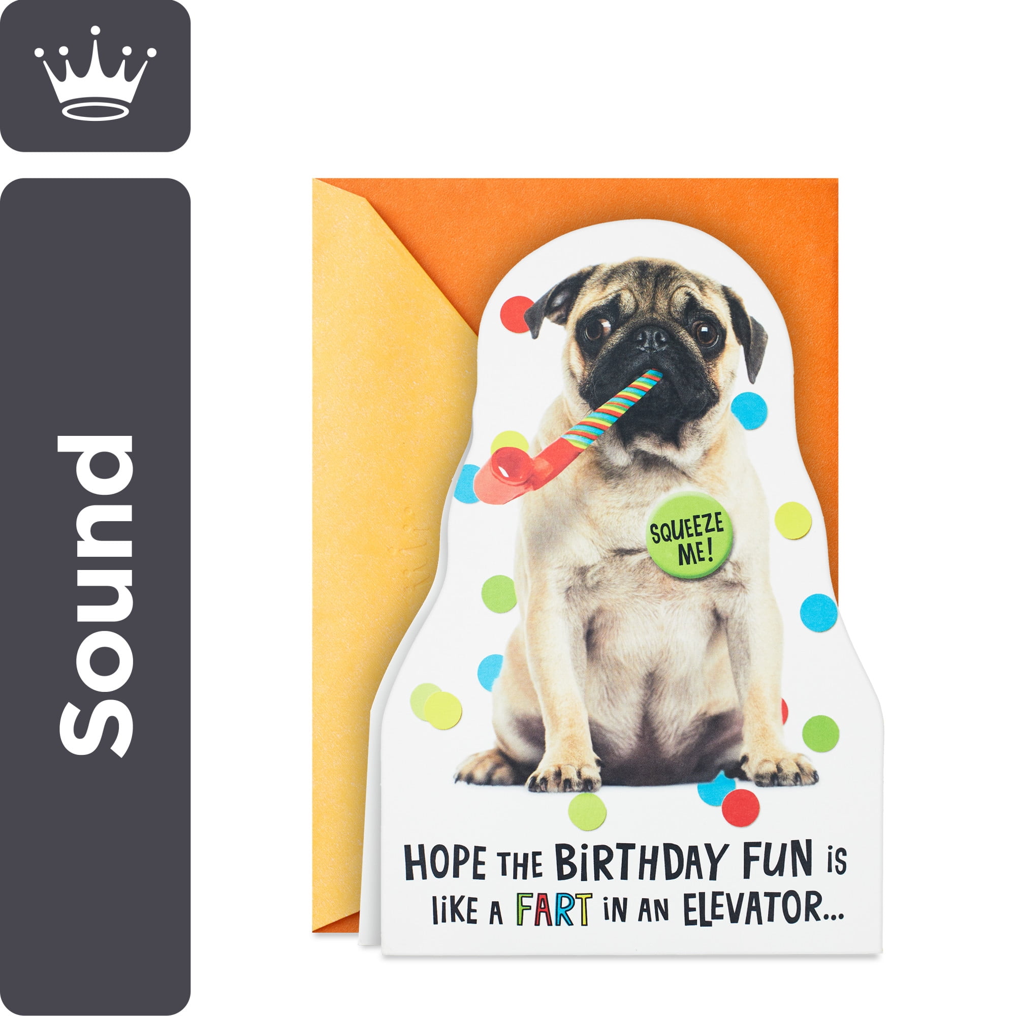 Hallmark Funny Musical Birthday Card with Sound (Impossible to Ignore)