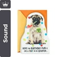 thumbnail image 1 of Hallmark Funny Musical Birthday Card with Sound (Impossible to Ignore), 1 of 7