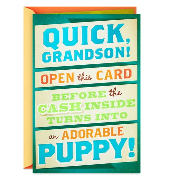 Hallmark Funny Pop-Up Birthday Card for Grandson (Quick Before Cash Turns Into Puppy)