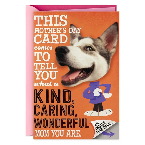 Hallmark Connections from Hallmark Mothers Day Card for Mother - Md Dog Pary Hat Orng