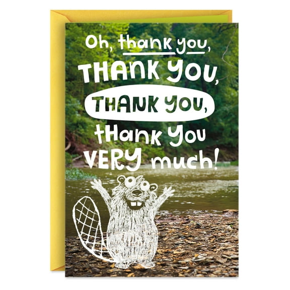 Hallmark Funny Thank You Card (so Many Thanks!)