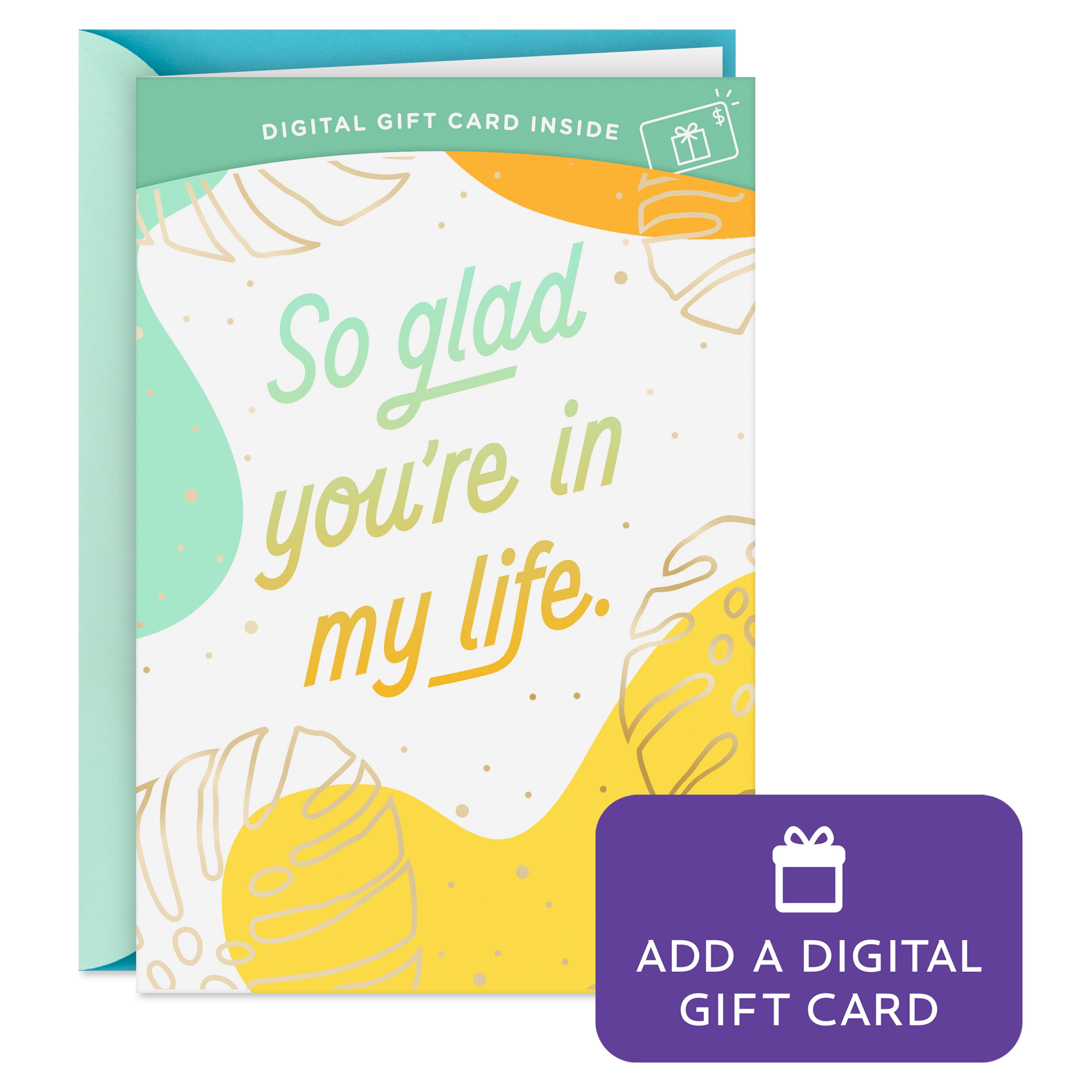 Hallmark Gift Card Greeting Card for Birthday, Congratulations, Friendship (So Glad You're in My Life)