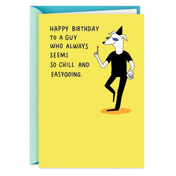 Hallmark Shoebox Funny Birthday Card for Him (You're Such a Chill and Easygoing Guy)