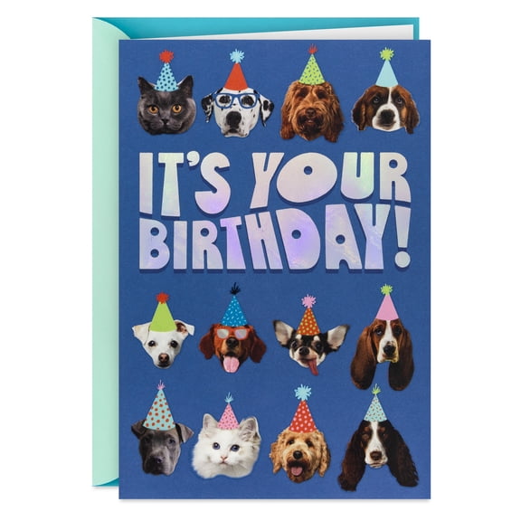 Hallmark Funny Birthday Card for Kids (This Calls for Extra Treats)