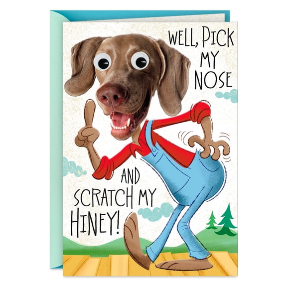 Hallmark Funny Birthday Card for Nephew (Pick My Nose and Scratch My Hiney)