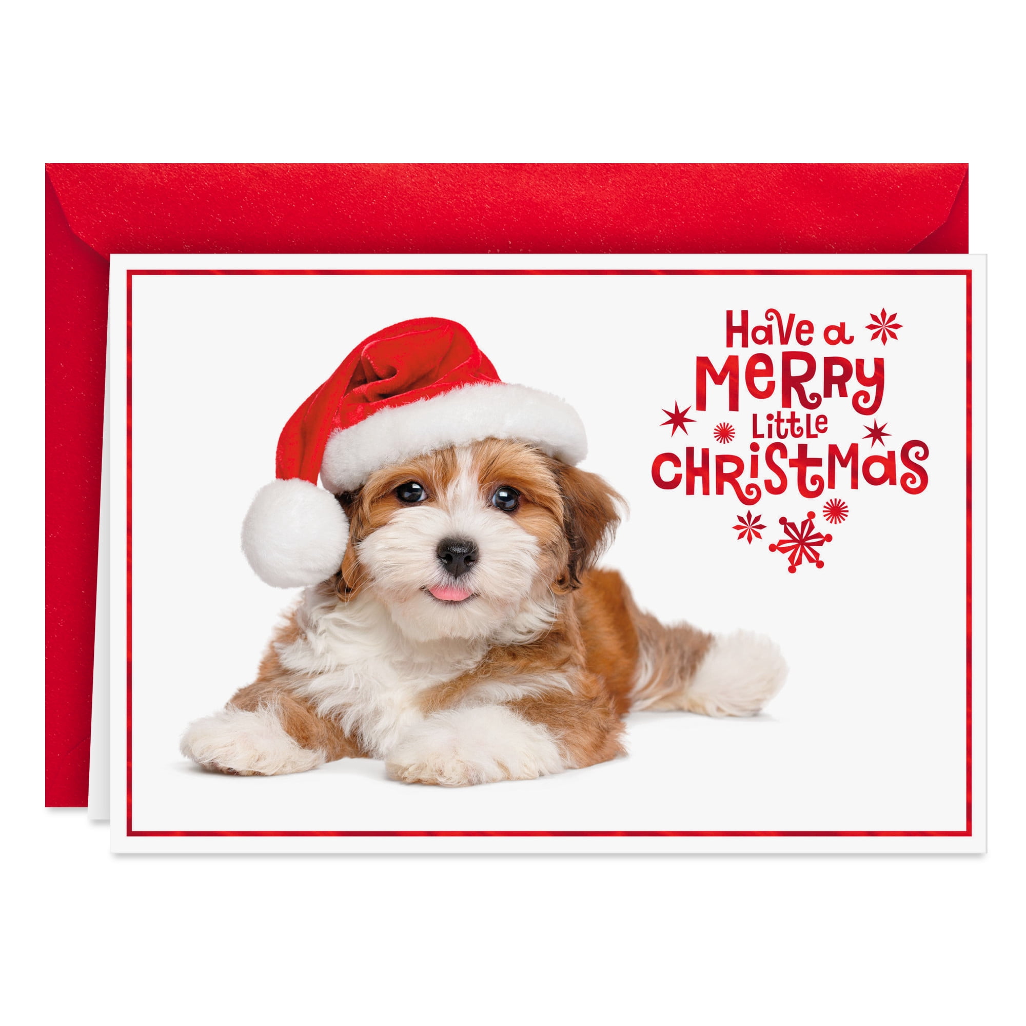 Hallmark Christmas Card (Warm Smiles Puppy Dog in Santa Hat)