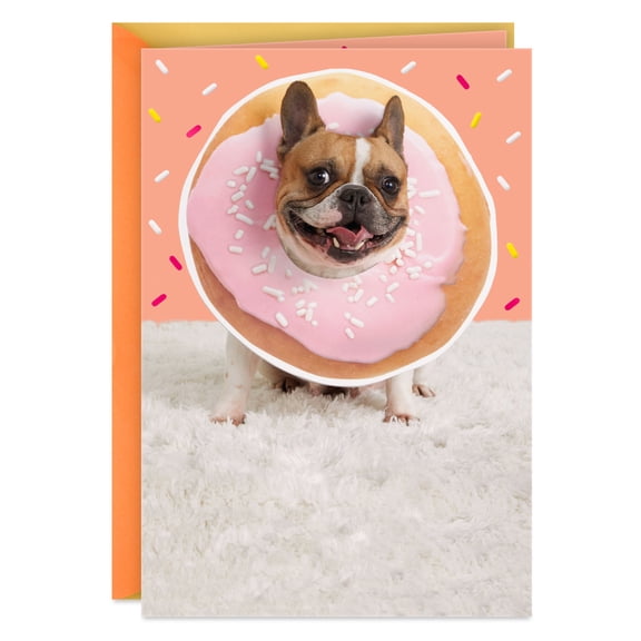 Hallmark Funny Blank Card (Dog and Donut)