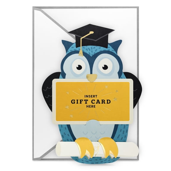 Hallmark Paper Craft Money Holder Graduation Card (Owl Amazing You)