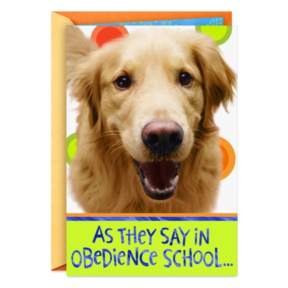 Hallmark Funny Get Well Card (As They Say in Obedience School)