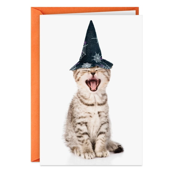 Hallmark Funny Halloween Card (Practice That Evil Cackle), 1 Count