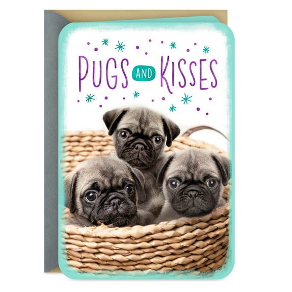 Hallmark Just Because Love Card (Pugs and Kisses)