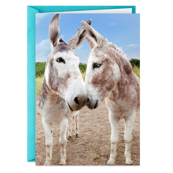 Hallmark Shoebox Funny Anniversary Card (Glad Your Ass Is Still Mine)