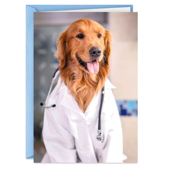 Hallmark Shoebox Funny Get Well Card (Golden Retriever Dog in Lab Coat)