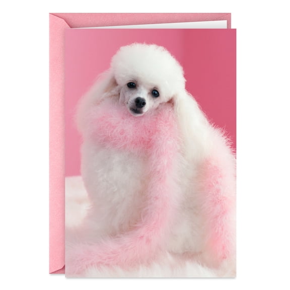 Hallmark Shoebox Funny Birthday Card (Be a Little Diva)