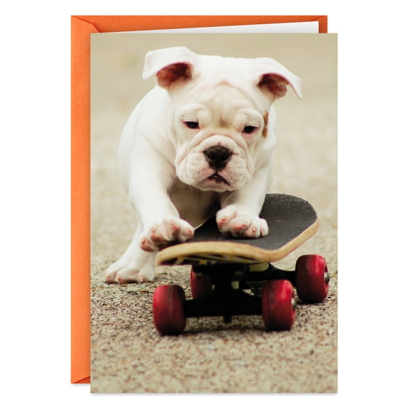 Hallmark Shoebox Funny Birthday Card for Him (Great Set of Wheels)
