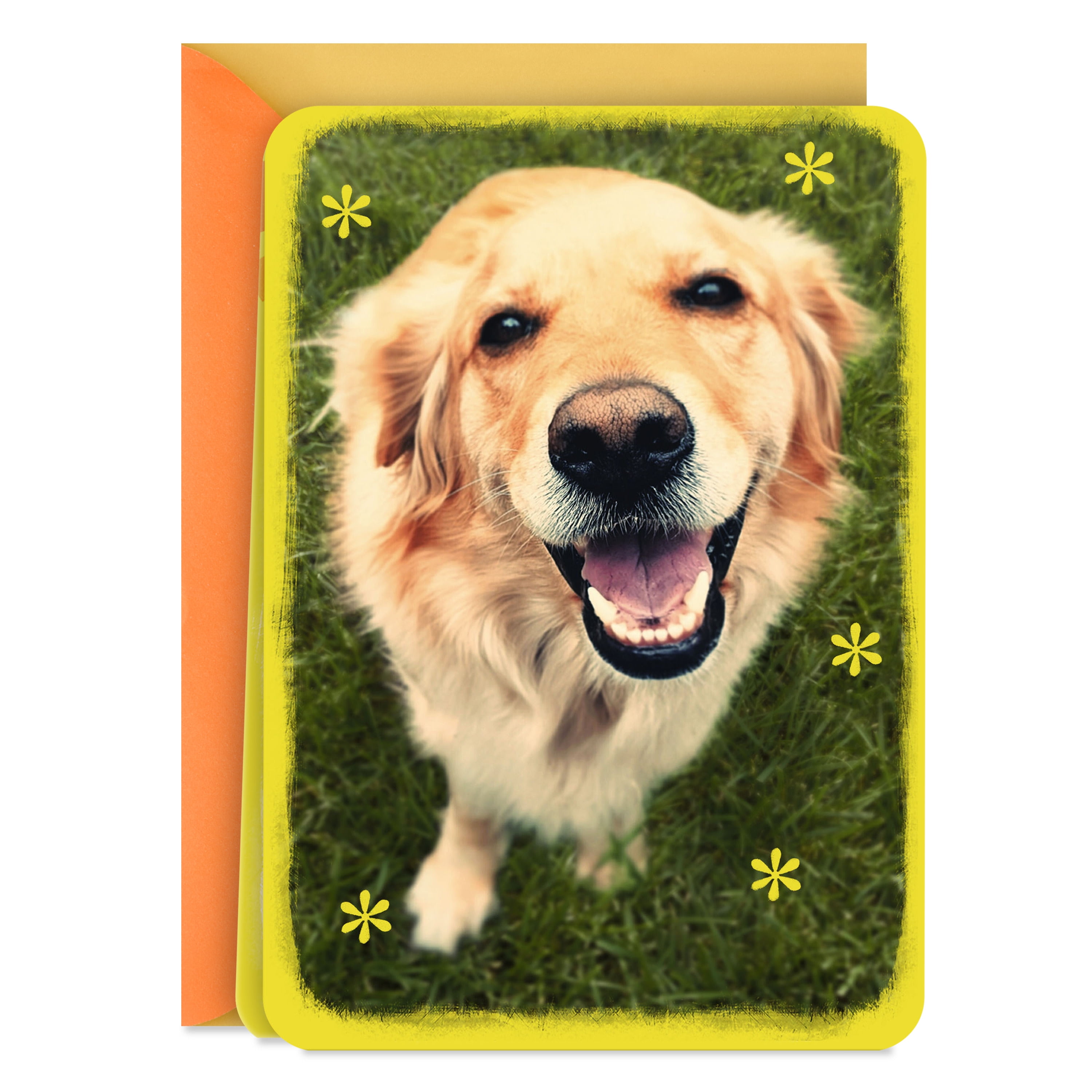 Hallmark Just Because Blank Card (Smiling Golden Retriever)