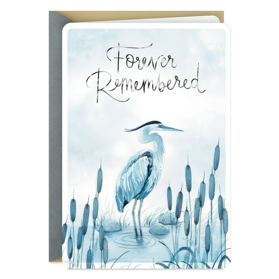 Hallmark Sympathy Card (Love and Support Surround You)