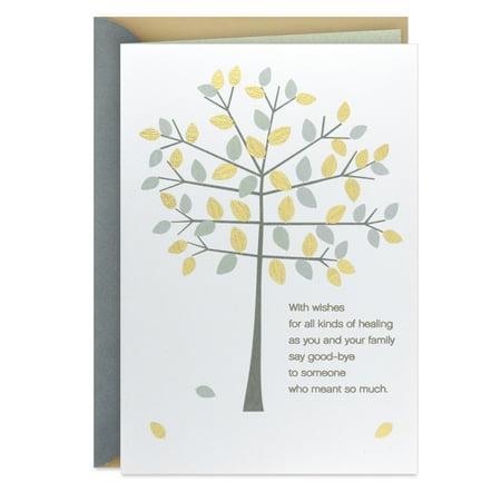 Hallmark Sympathy Card (Wishes of Healing and Love)