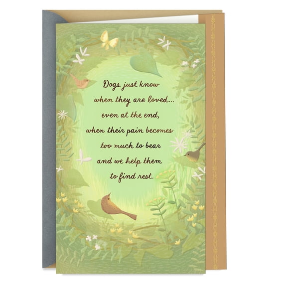 Hallmark Sympathy Card for Loss of Dog (They Know They Were Loved)