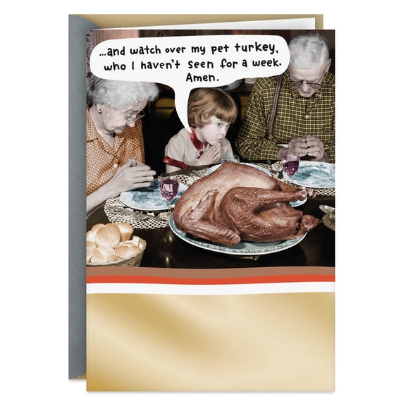 Hallmark Shoebox Funny Thanksgiving Card (Pet Turkey)