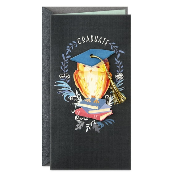 Hallmark Money Holder Graduation Greeting Card (Wisdom, Confidence and Determination)