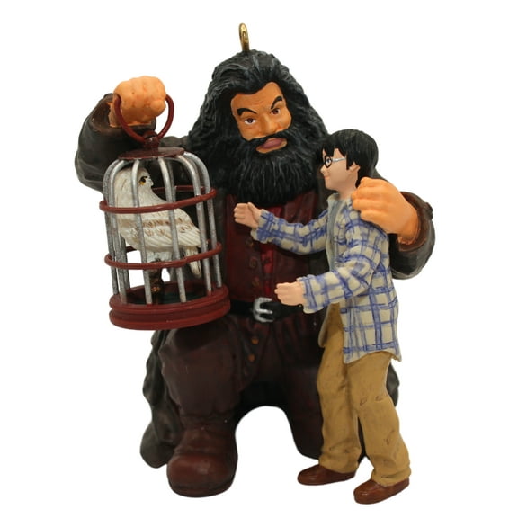 Hallmark Ornament: 2009 Harry! Happy Birthday! | QXI1032 | Harry Potter
