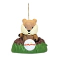 thumbnail image 1 of Hallmark Ornament: 2015 Go, Gopher, Go! | QXI2137 | Caddyshack, 1 of 2
