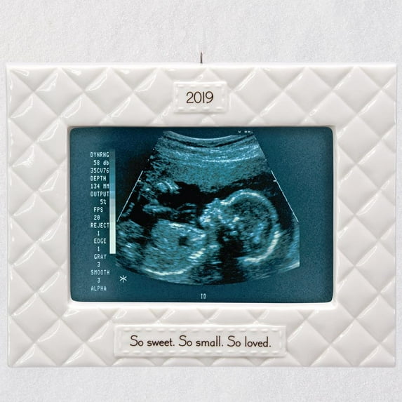 Already Loved Hallmark Keepsake Christmas Ornament 2019