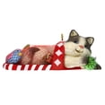 thumbnail image 1 of Hallmark Ornament 2019 Mischievous Kittens #21 - Kitten in Stocking, 1 of 5