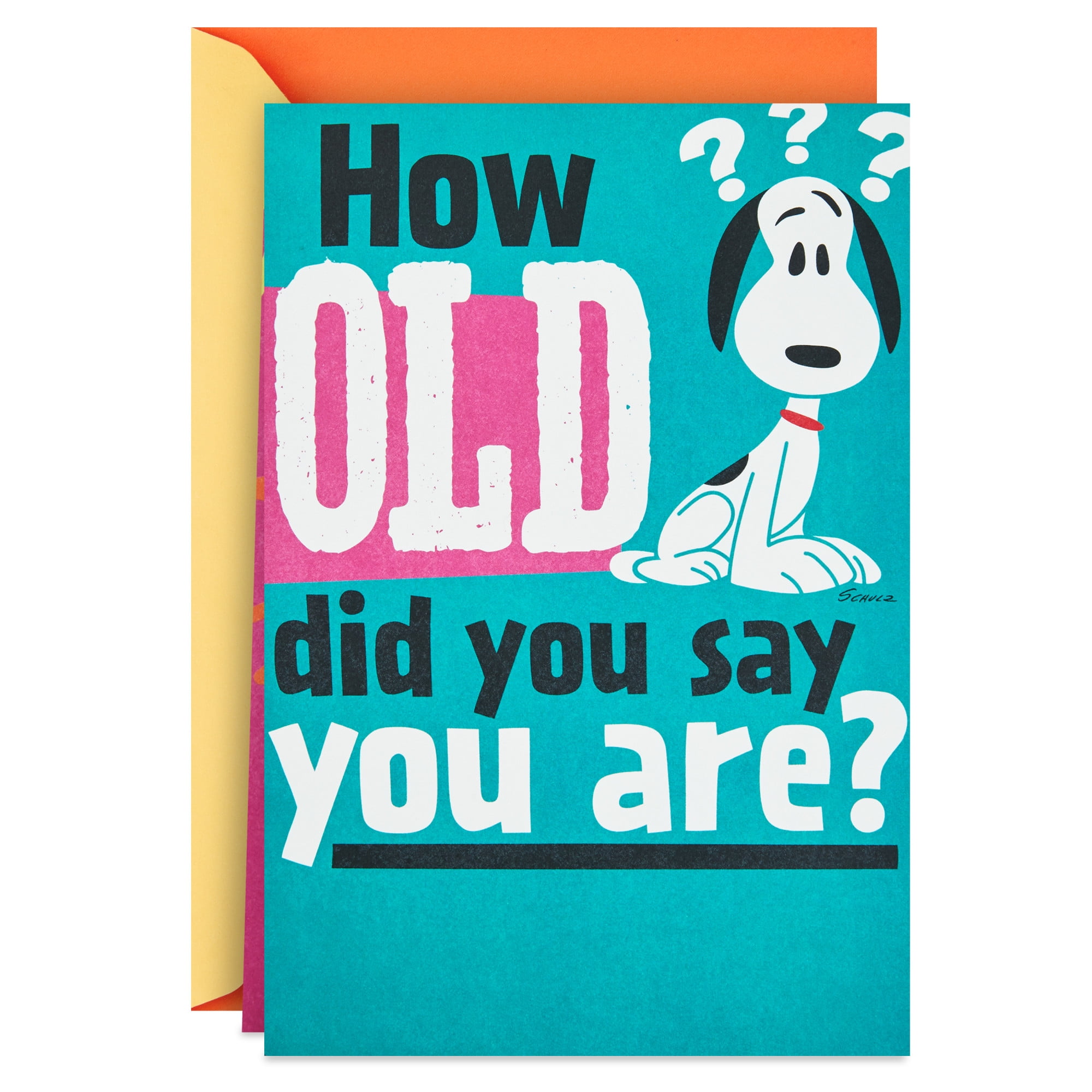 Hallmark Peanuts Funny Birthday Card (Snoopy Jillion in Dog Years)