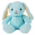 thumbnail image 1 of Hallmark Plush WMT BUNNY, 1 of 4