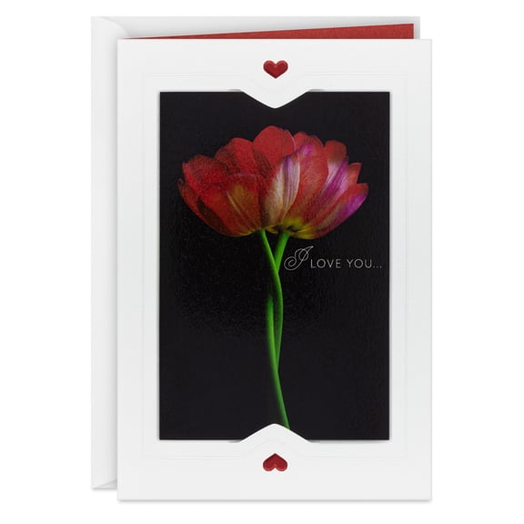 Hallmark Romantic Anniversary Card for Spouse (Love You All Day, Especially on Our Day)