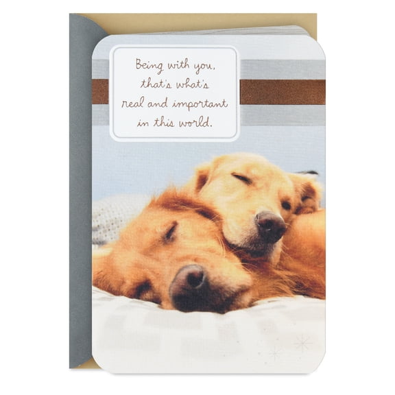 Hallmark Romantic Birthday Card for Husband (A True Partner)