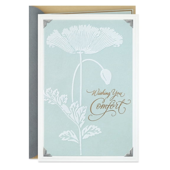 Hallmark Sympathy Card (Wishing You Comfort and Peace)
