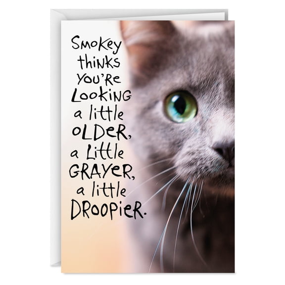Hallmark Shoebox Funny Birthday Card (Don't Listen to Smokey)