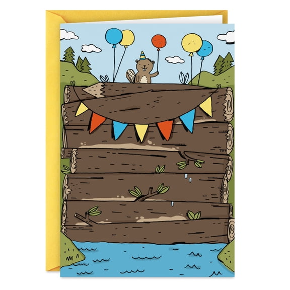 Hallmark Shoebox Funny Birthday Card (Best Dam Card)