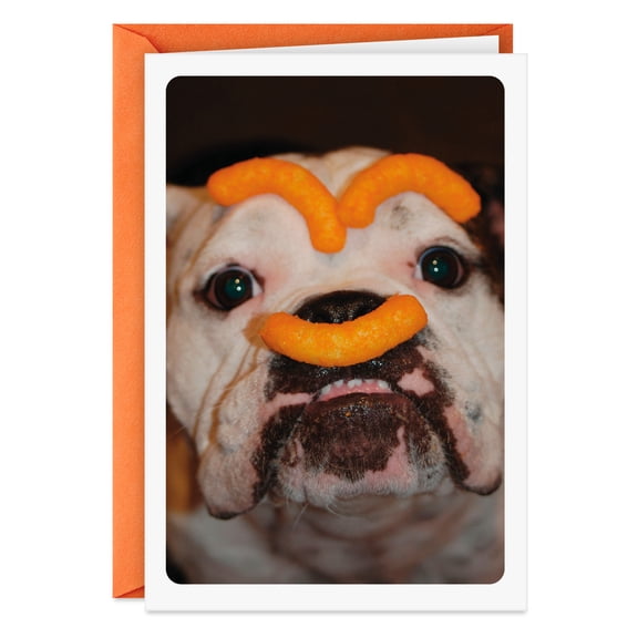 Hallmark Shoebox Funny Birthday Card (Be as Silly as You Want)