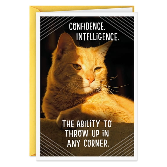 Hallmark Shoebox Funny Birthday Card (Cat-like Qualities)