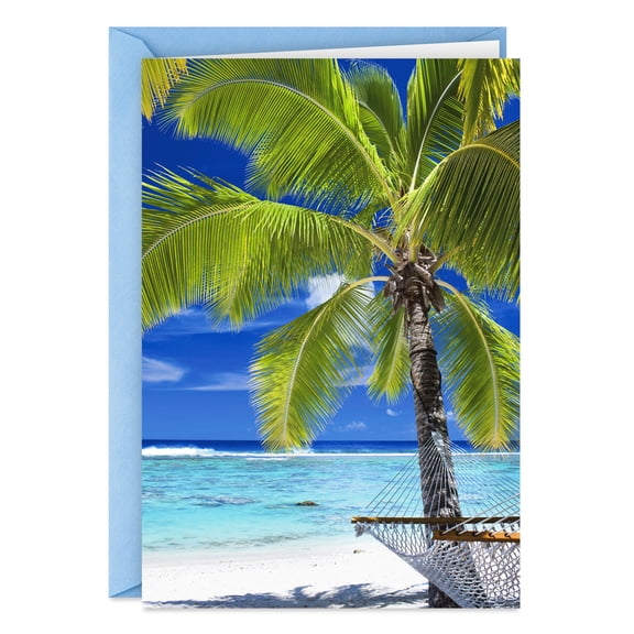 Hallmark Shoebox Funny Birthday Card (Took You to the Beach)