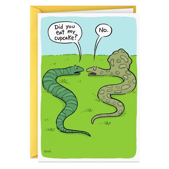Hallmark Shoebox Funny Birthday Card (All The Fun You Can Get Away With)