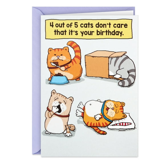 Hallmark Shoebox Funny Birthday Card (Cats Don't Care But I Do)